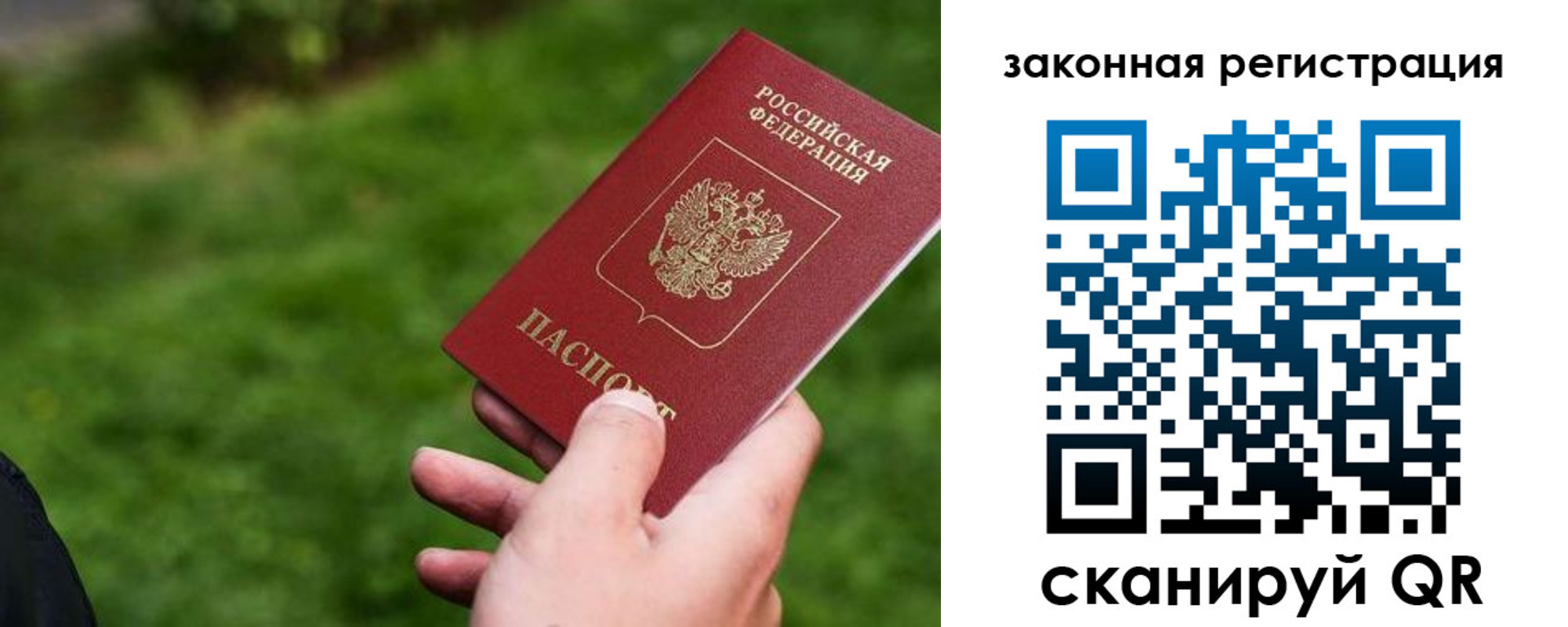 прописка законно в Почепе